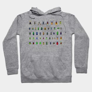 Bugs and Beetles Hoodie